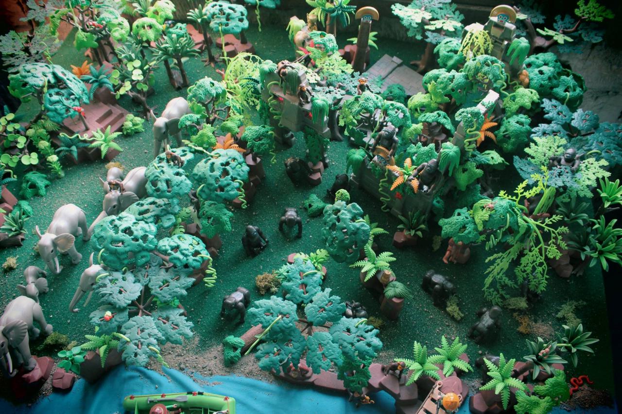 Aventure dans la jungle en Playmobil