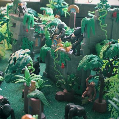 Aventure dans la jungle en Playmobil