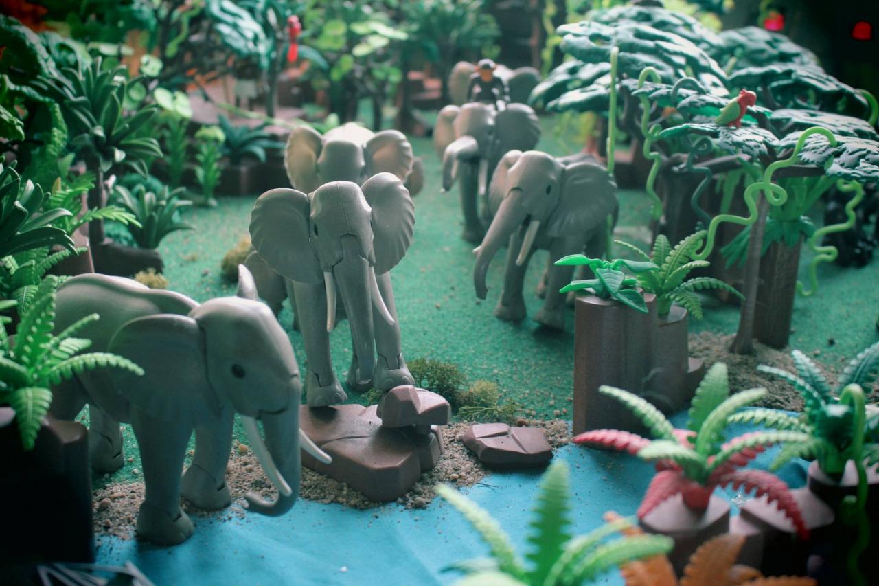 Aventure dans la jungle en Playmobil