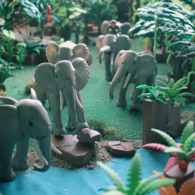 Aventure dans la jungle en Playmobil