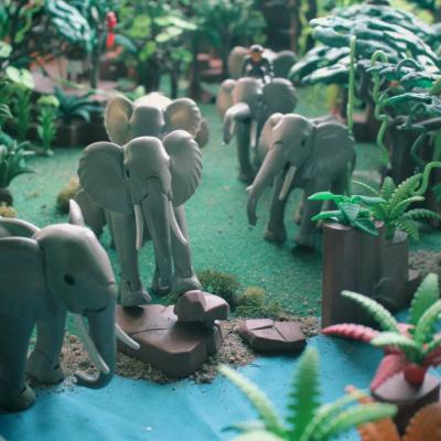 Aventure dans la jungle en Playmobil