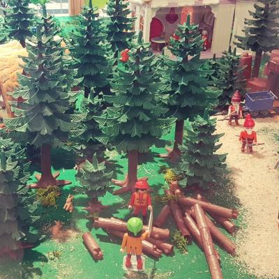 Exposition Playmobil au Jardin Botanique de Nancy