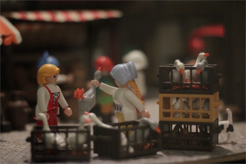 Exposition Playmobil au Musée de l'Archéoscope de Bouillon