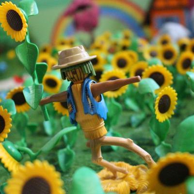 Le magicien d'oz en Playmobil