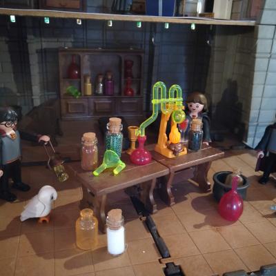 Harry potter en playmobil