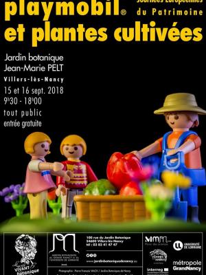 Exposition playmobil et plantes cultivees a nancy dominique bethune