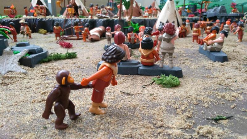 Prehistoire playmobil dominique bethune