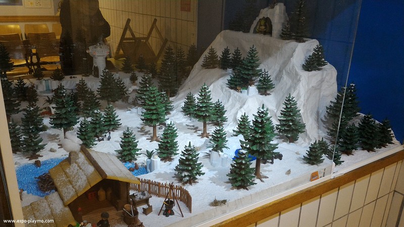 Vitrine reine des neiges en playmobil hopital robert debre 7 vitrine reine des neiges en playmobil hopital robert debre